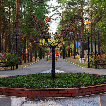 Зелёное дерево