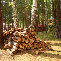 Костровое место