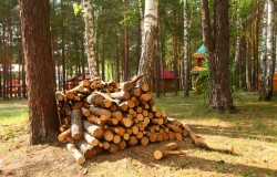 Костровое место