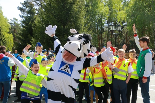 Профильные смены