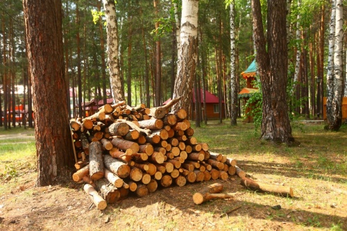 Костровое место