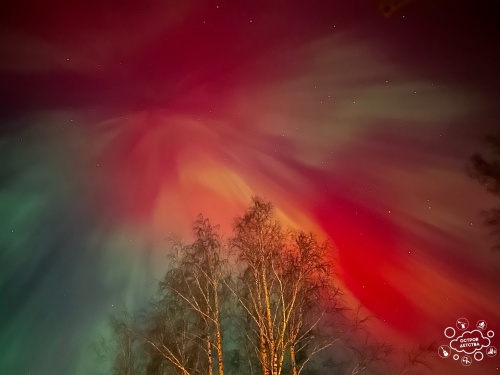 Виды острова