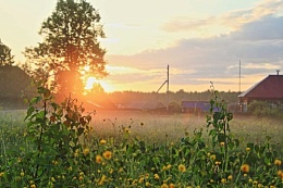 Смена для взрослых "К бабушке на лето" 2025